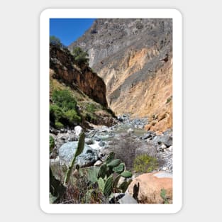 Pérou - Arequipa - Canyon de Colca Sticker